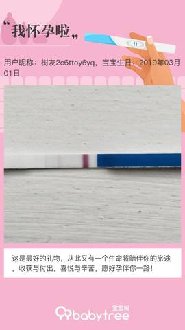 journal_insert_pic_1191024564