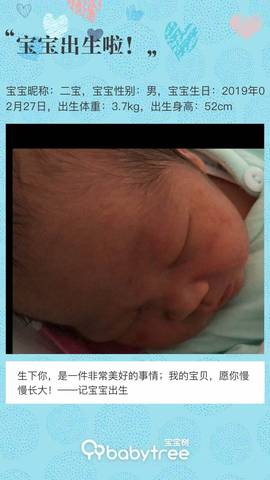 journal_insert_pic_1192193710