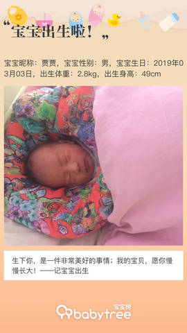 journal_insert_pic_1193071023