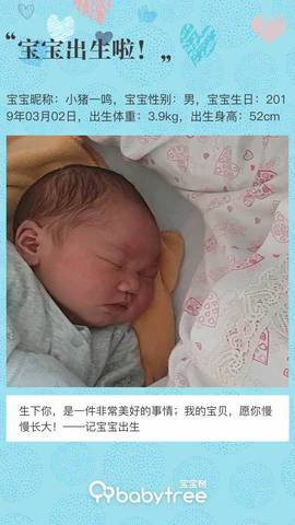 journal_insert_pic_1193331766