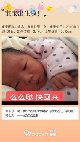 journal_insert_pic_1193281581