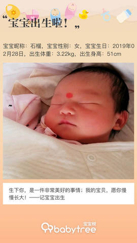 journal_insert_pic_1193281469