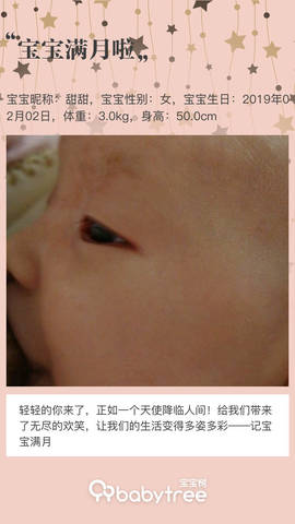 journal_insert_pic_1193827137