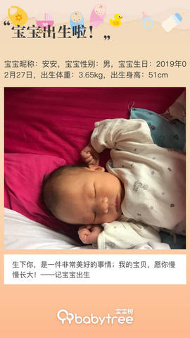 journal_insert_pic_1193893890