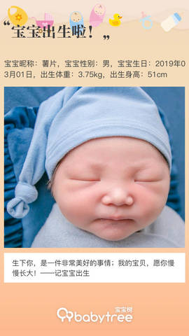 journal_insert_pic_1194380906