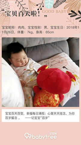 journal_insert_pic_1194636436