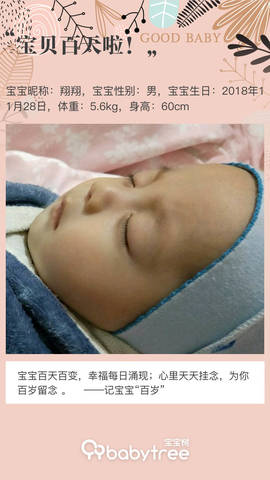 journal_insert_pic_1194640286