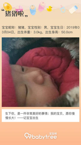 journal_insert_pic_1195382846
