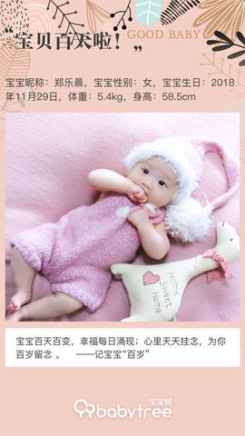 journal_insert_pic_1195816356
