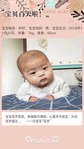 journal_insert_pic_1196261844