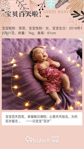 journal_insert_pic_1197478563