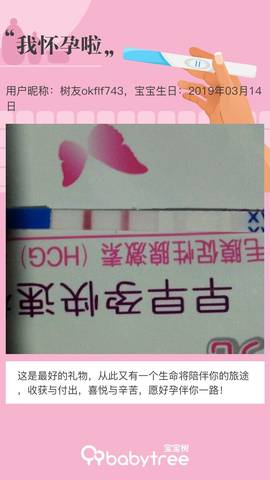 journal_insert_pic_1198162602