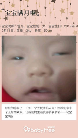 journal_insert_pic_1199955993