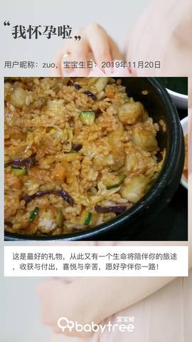 journal_insert_pic_1201777073