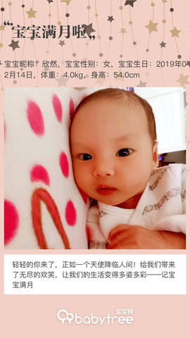journal_insert_pic_1201591392
