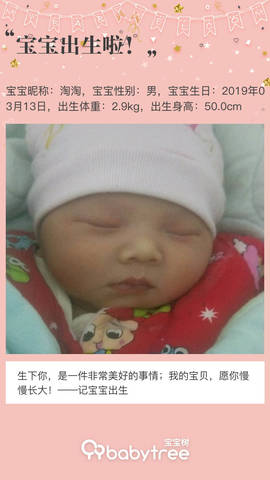 journal_insert_pic_1202239943
