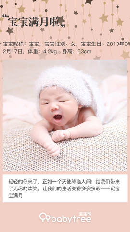 journal_insert_pic_1202395142