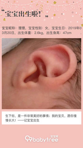 journal_insert_pic_1202662606