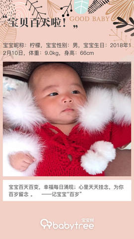 journal_insert_pic_1202631924