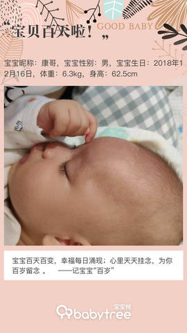journal_insert_pic_1202904077