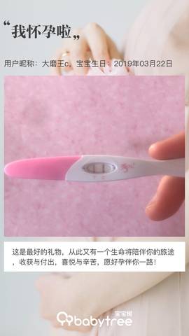 journal_insert_pic_1202885958