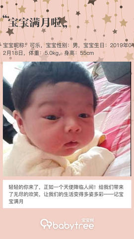 journal_insert_pic_1203361331