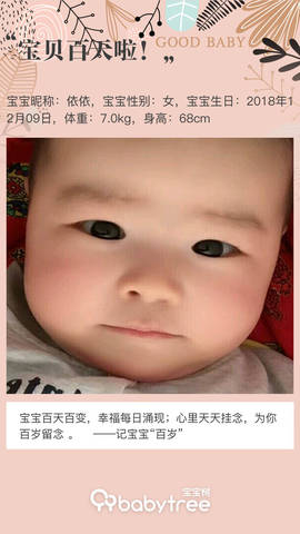 journal_insert_pic_1203374503