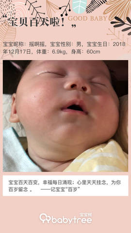 journal_insert_pic_1203085755