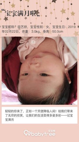 journal_insert_pic_1203731443
