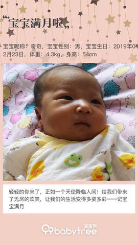 journal_insert_pic_1204361813