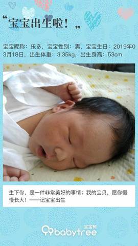 journal_insert_pic_1204533201