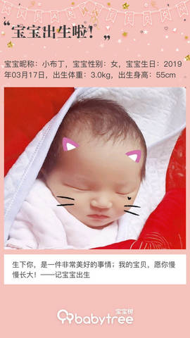 journal_insert_pic_1204859656