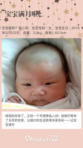 journal_insert_pic_1205573981
