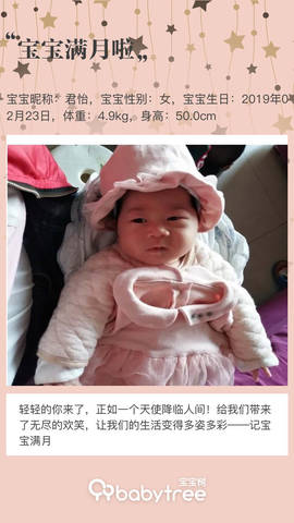 journal_insert_pic_1205916428