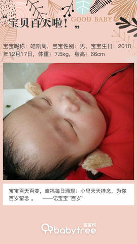 journal_insert_pic_1206042206