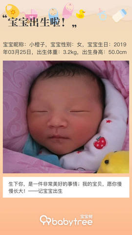 journal_insert_pic_1206239730