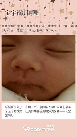 journal_insert_pic_1206460056