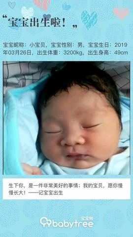 journal_insert_pic_1206847030
