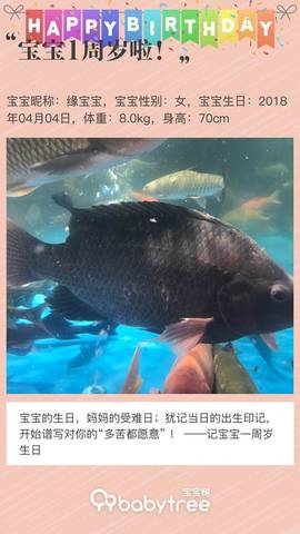 journal_insert_pic_1206922390
