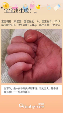 journal_insert_pic_1206460734