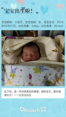 journal_insert_pic_1208156007