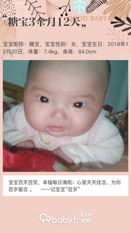 journal_insert_pic_1208222312