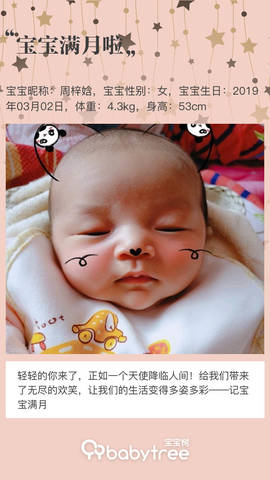 journal_insert_pic_1209076362