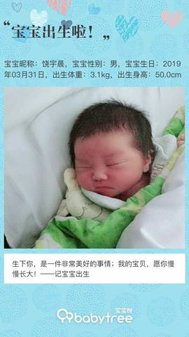 journal_insert_pic_1209671885