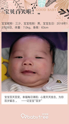 journal_insert_pic_1209687812