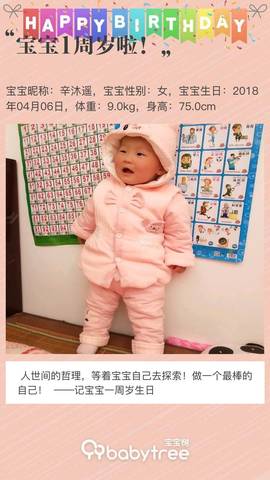 journal_insert_pic_1209363481