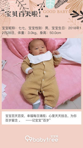 journal_insert_pic_1209862484