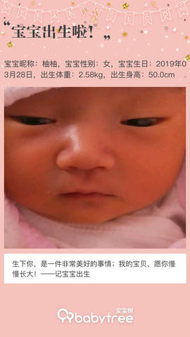 journal_insert_pic_1209964076