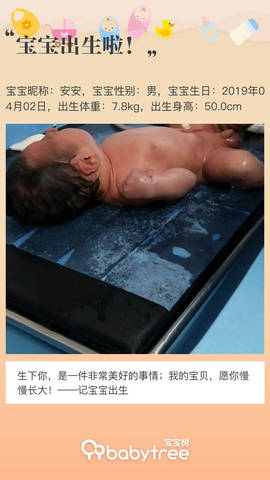 journal_insert_pic_1210152729