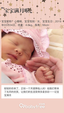journal_insert_pic_1209977095